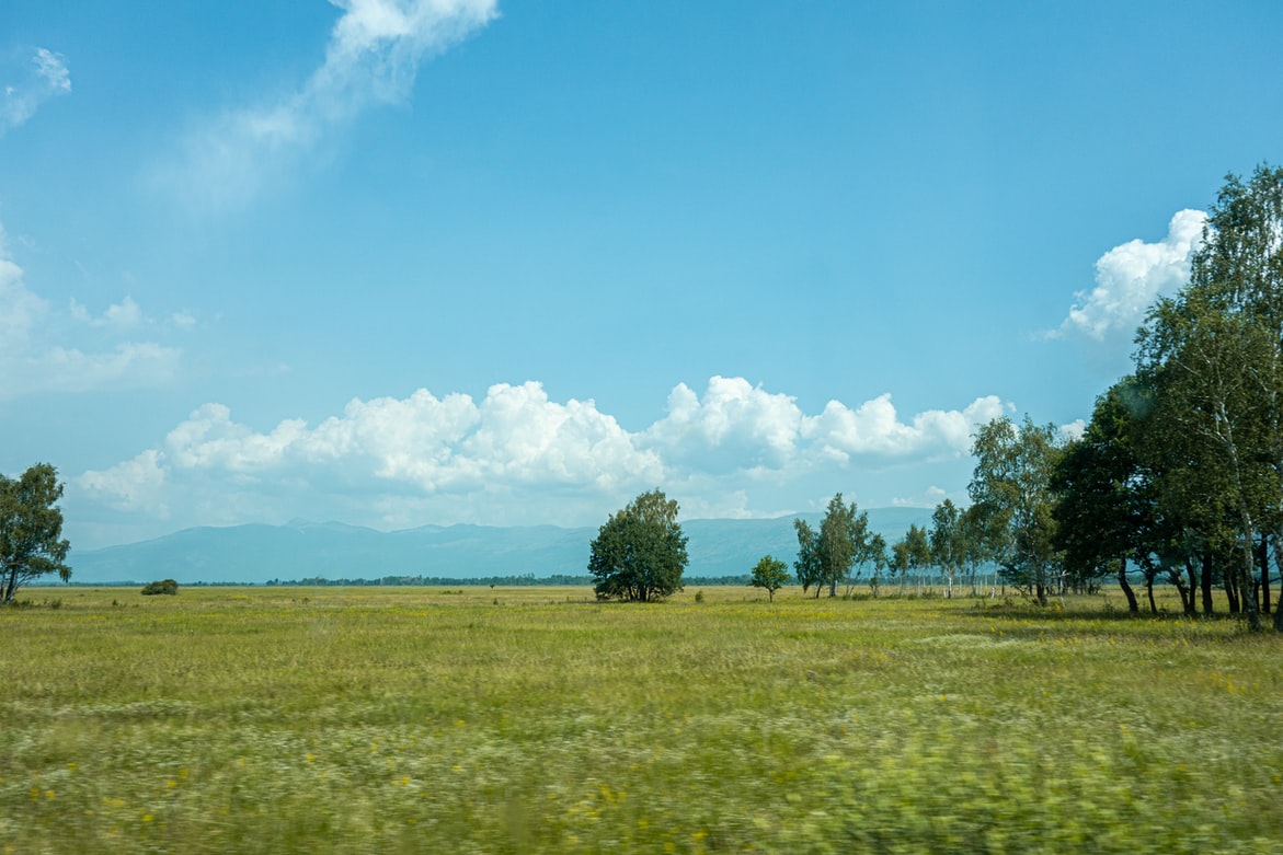 environment image